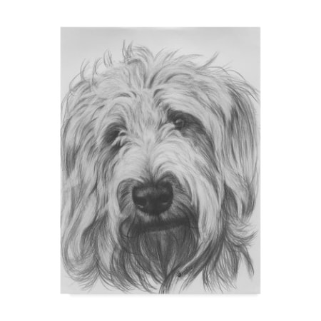 Barbara Keith 'Labradoodle' Canvas Art,24x32